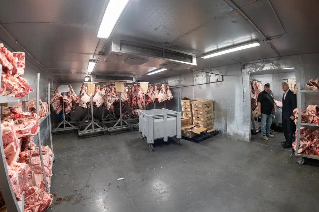 Chambre froide de boucherie avec carcasses suspendues